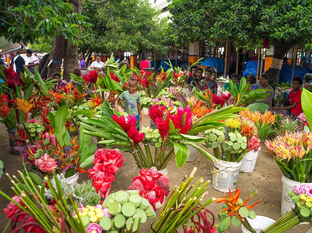 Wander the Port Vila Markets in Efate, Vanuatu