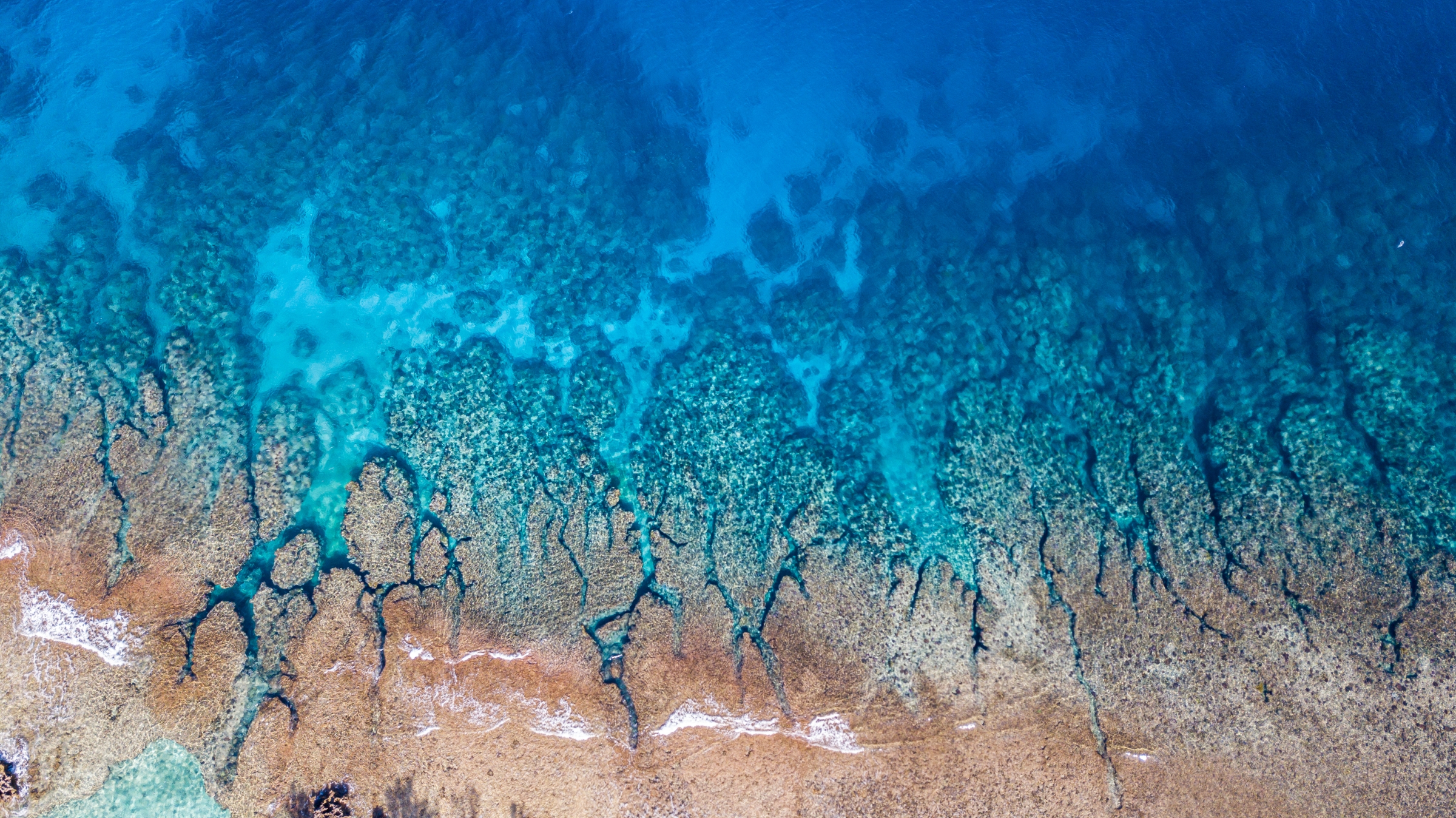 Vanuatu coral reefs